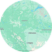 biodegradable plastic