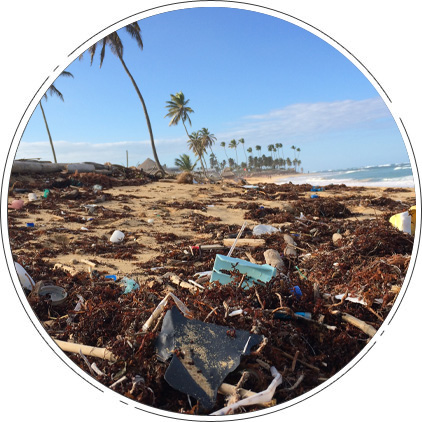 Landfill Friendly Plastic Alternative